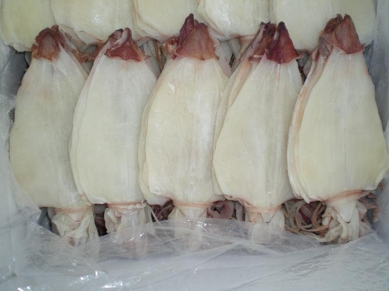 Dried squid skinless